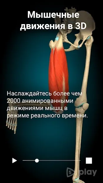 Anatomy Learning – 3D Anatomy Atlas