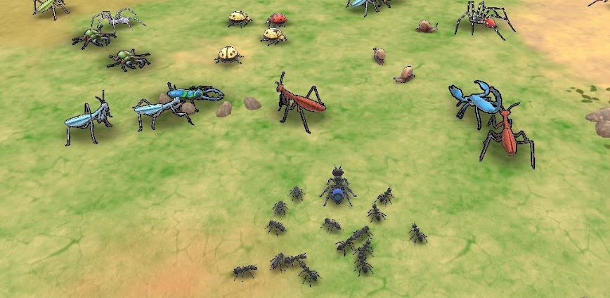 Ant Kingdom